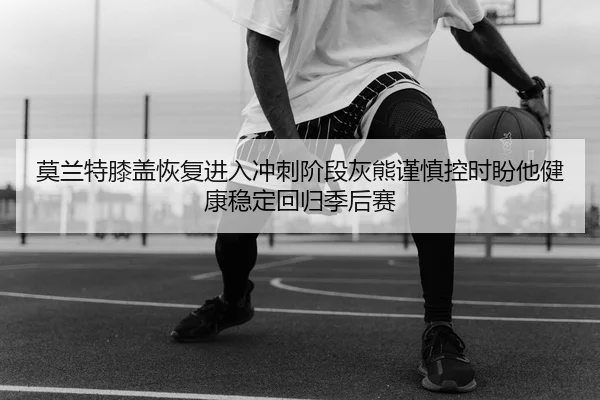 img_1783357904826_650_1_203.jpg